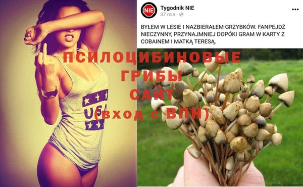 Альфа ПВП Новодвинск