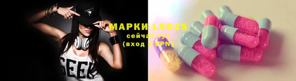 Альфа ПВП Новодвинск