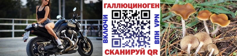 Галлюциногенные грибы GOLDEN TEACHER  хочу   Хабаровск 