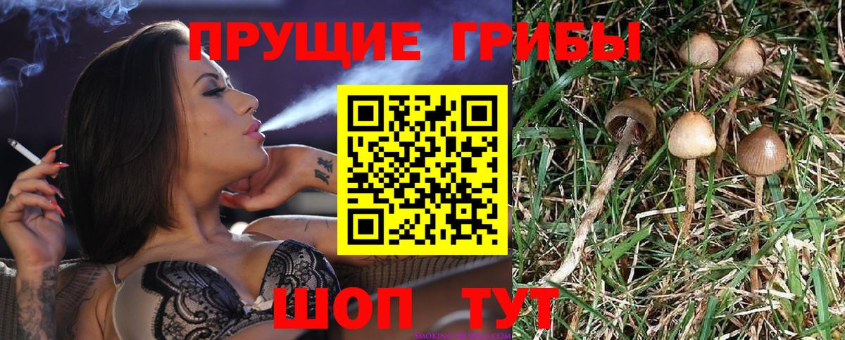 Псилоцибиновые грибы Psilocybine cubensis  Вход с VPN  как найти закладки  Хабаровск 
